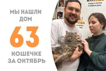 Меньше 3 месяцев понадобилось Астрее, чтобы стать домашней!