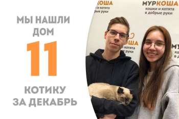 Через 2,5 месяца Атхит обрёл семью!