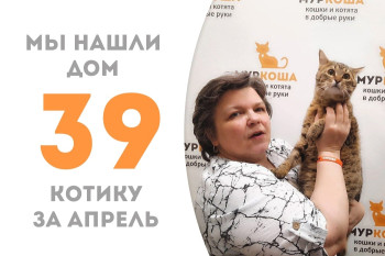 Атлас теперь домашний, у него есть семья. 