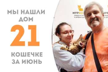 Красавица Авва встретила свою семью!