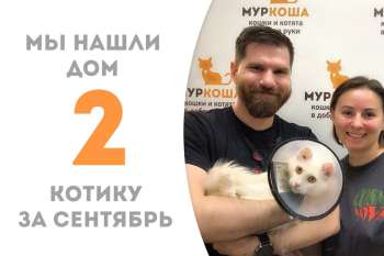Всего два месяца и Айран дома!