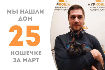 Меньше двух месяцев понадобилось десятимесячной Баленсиаге, чтобы обрести свой дом!