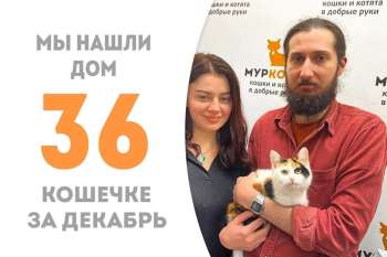 Очаровательная Батошка, пробыв чуть более месяца в приюте, уезжает домой.