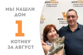 Всего через две недели Базилевс встретил своих людей!