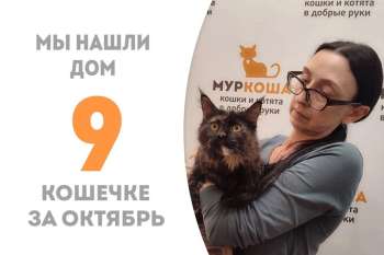 Береника едет домой!