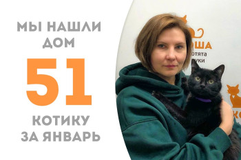 Четырёхлетний котичек Беззубик уехал домой!