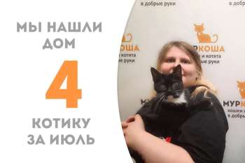 Чудесный котик Бисер начинает домашнюю жизнь!