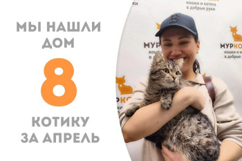 Два с половиной месяца понадобилось Бобрику, чтобы обрести семью!