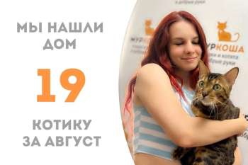 Всего за 2 месяца Болл обрёл свой дом!