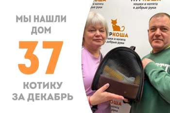 Всего один месяц прошел, а Бозли стал домашним и поехал встречать Новый год в кругу семьи!