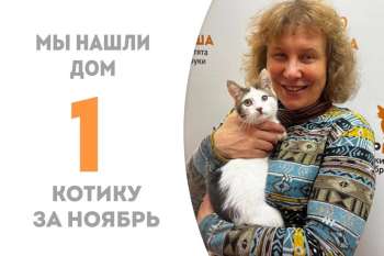 Брэдис провёл у нас менее 3 месяцев и засобирался домой!