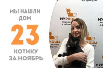 Брютер стал домашним!
