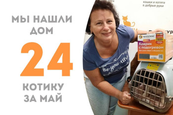 Кот Бубсик начинает счастливую жизнь дома!