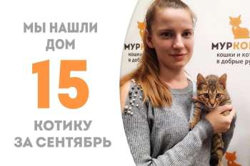 За месяц Буклетик стал домашним!
