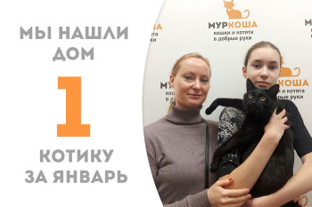 Четырёхлетний котик Бужор стал первым счастливчиком, нашедшим дом в 2023 году!