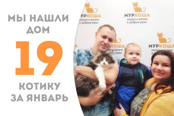 Котику Чарлику понадобилось чуть более двух месяцев, чтобы найти для себя новый дом!
