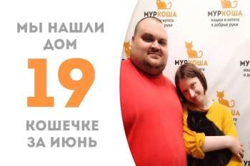 Кошка Чери отправилась в новую жизнь!