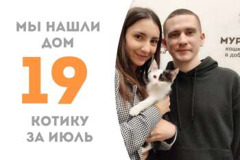 Малыш Чибис упорхнул домой всего за пару недель!