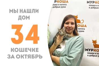 Всего за месяц Чилинка нашла семью!