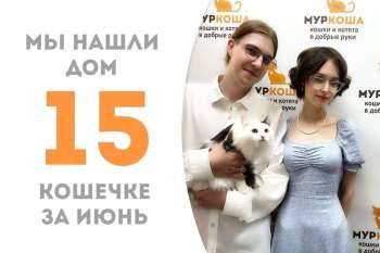 Кошечка Чипсинка нашла себе семью!