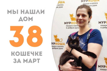 Кошечка Чира встретила свою хозяйку всего месяц!