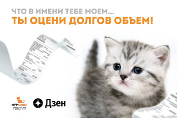 Что в имени тебе моем… Ты оцени долгов объем! Легко ли быть волонтером?