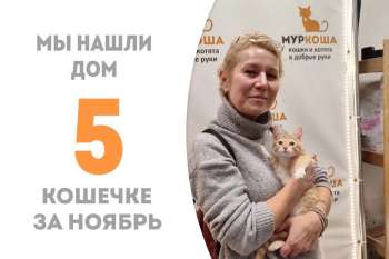 Шустрая Чуфа за 2 месяца нашла себе хозяйку и подружку Барабульку!