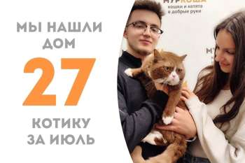 Всего два месяца - и Циннамон стал домашним!