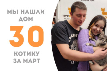 Шестимесячный Далил стал домашним!