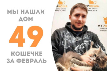 Кошечка Делайла открыла новую страницу своей жизни!
