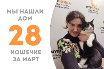 Четырехлетняя кошечка Диги стала домашней!