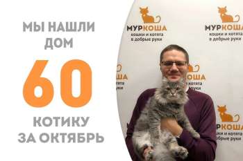 Добрушик встретил своего человека!