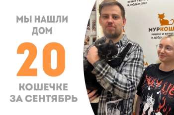 Дорида обрела семью!
