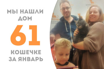 Кошечка Дорри, пробыв два месяца в приюте, нашла для себя дружную семью!