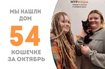 Не пробыв и двух месяцев в приюте, малышка Дриппи уезжает домой!
