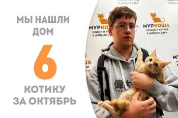 Чуть больше двух месяцев понадобилось Дюрсо, чтобы встретить своего человека!