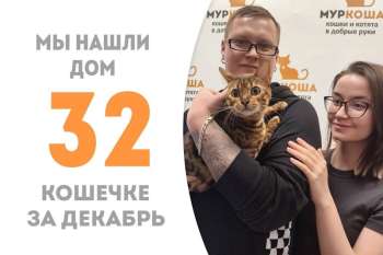 Великолепная Джесси уже едет отмечать Новый год дома!