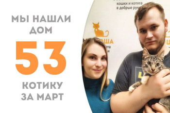 Котик Джизаль стал домашним и любимым!