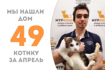 Чуть больше двух месяцев потребовалось Джонатану, чтобы уехать к своему человеку