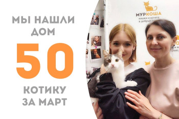 Котик Джулио встретил свою семью и стал домашним!