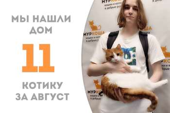 Эдем наконец воцарился в доме!
