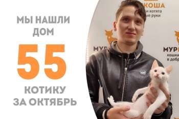 Нежный Эклерчик, проведя у нас немногим больше одного месяца, собрался домой, чтобы подружиться с нашим выпускником Скейтиком!