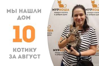 Элиас обрел дом всего за 12 дней!