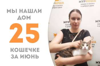 Кошечка Эмуся начинает счастливую жизнь дома!