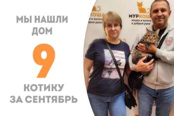 Эндрю встретил свою семью и обрёл дом!