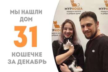 Энерджи отправляется домой в объятиях своих людей!