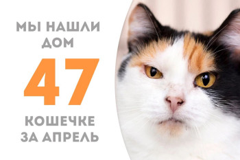 Шестилетняя Эсмина стала домашней!