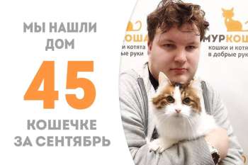 Эвлега снова обрела дом!