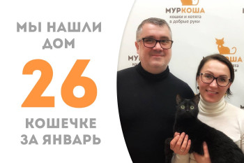 Кошечка Эйса теперь счастлива в новом доме!