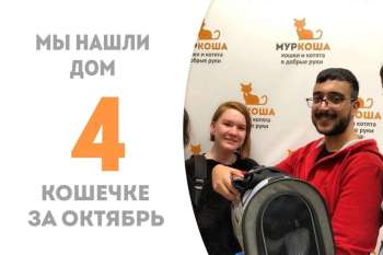 Фанфара стала домашней!